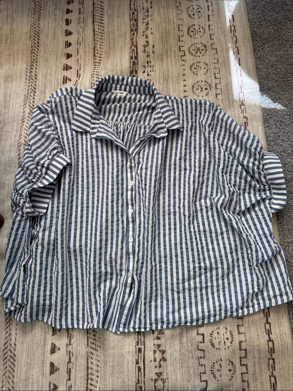 Day + Moon Blue and White Striped Shirt